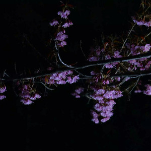 人乳porono特大吃奶会癌变吗
